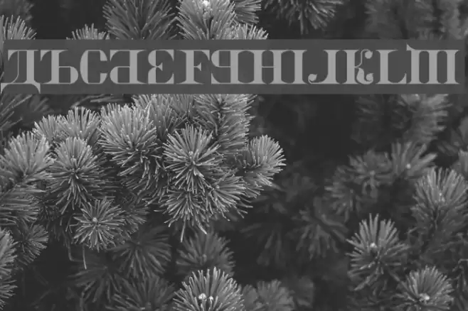 Kremlin Imperial Schriftart examples