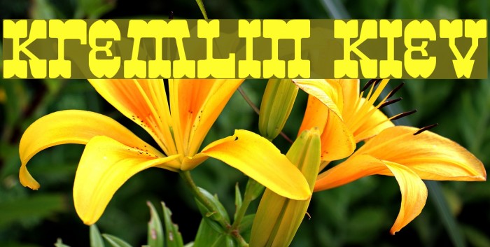 Kremlin Kiev Example 3