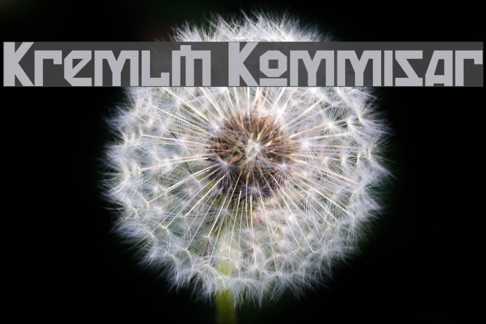 Kremlin Kommisar Font examples