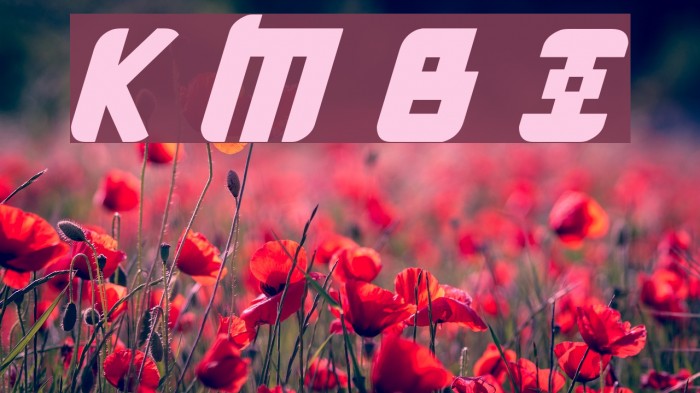 Kremlin Menshevik Bold Italic Font examples
