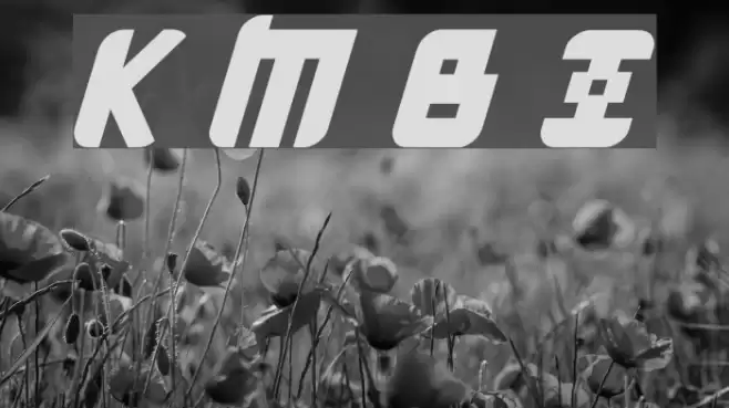 Kremlin Menshevik Bold Italic Fuentes examples