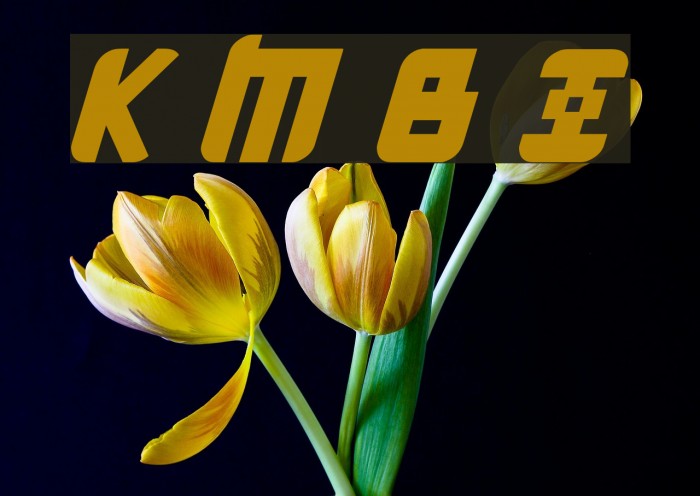 Kremlin Menshevik Bold Italic Font examples