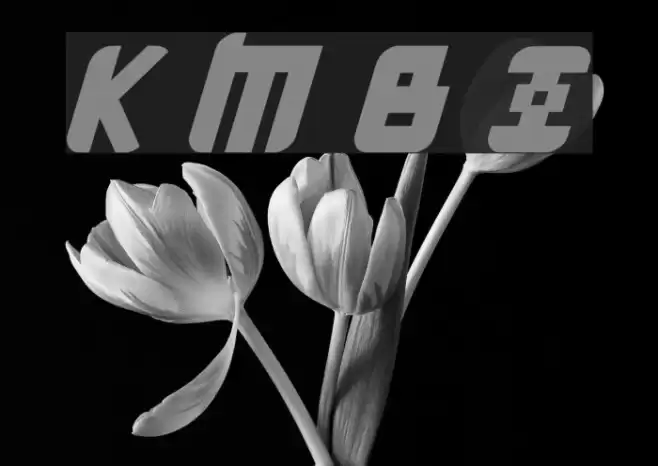 Kremlin Menshevik Bold Italic Fuentes examples