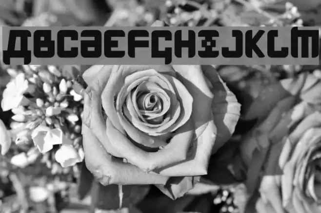 Kremlin Menshevik Bold Fonte examples