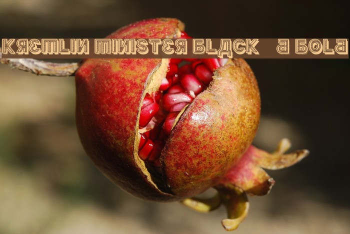 Kremlin Minister Black 3D Bold Font examples
