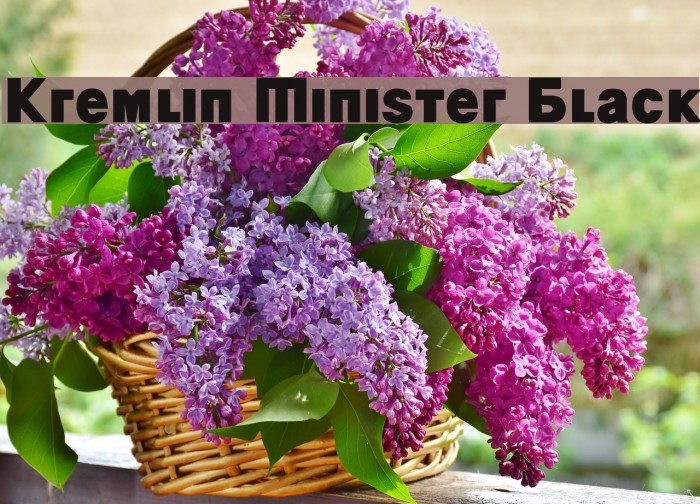 Kremlin Minister Black Font examples