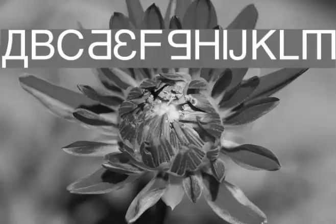 Kremlin Minister Font examples