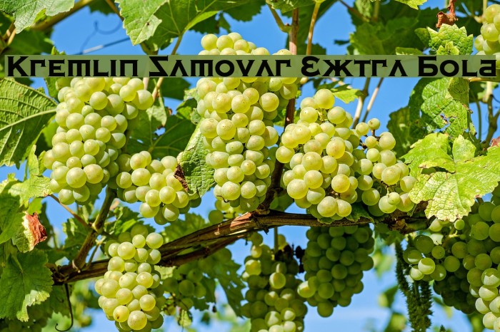 Kremlin Samovar Extra Bold Font examples