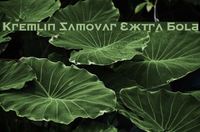 Kremlin Samovar Extra Bold Font examples