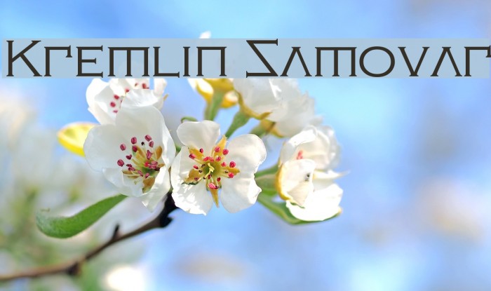 Kremlin Samovar Font examples