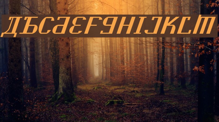 Kremlin Soviet Italic Font examples