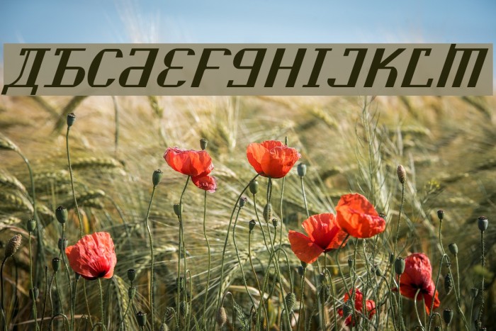 Kremlin Soviet Italic Font examples