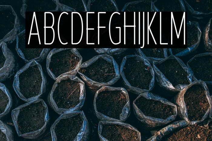 KrempengSans Example 2