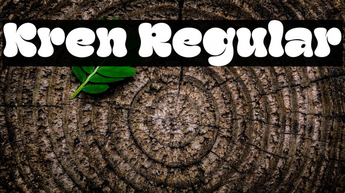 Kren Regular Example 2