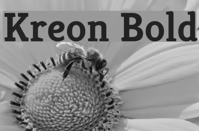 Kreon Bold Font examples