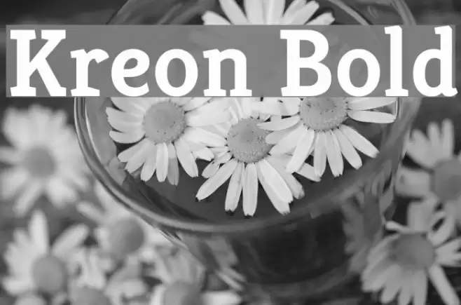 Kreon Bold Font examples