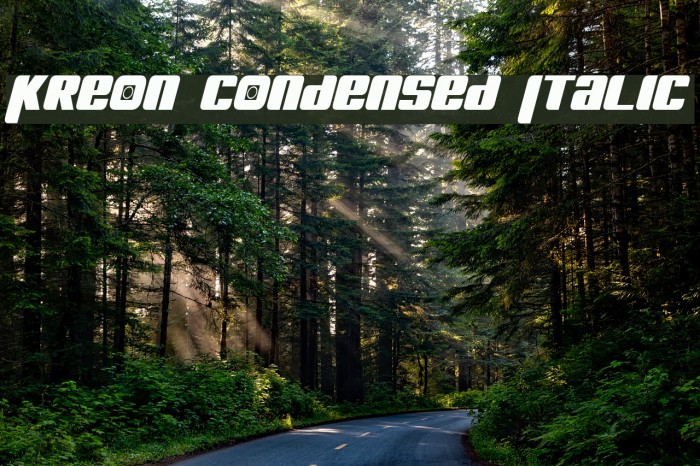 Kreon Condensed Italic Example 2