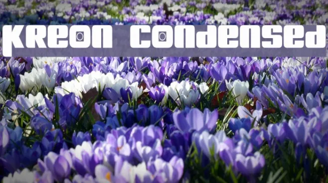 Kreon Condensed Example 2