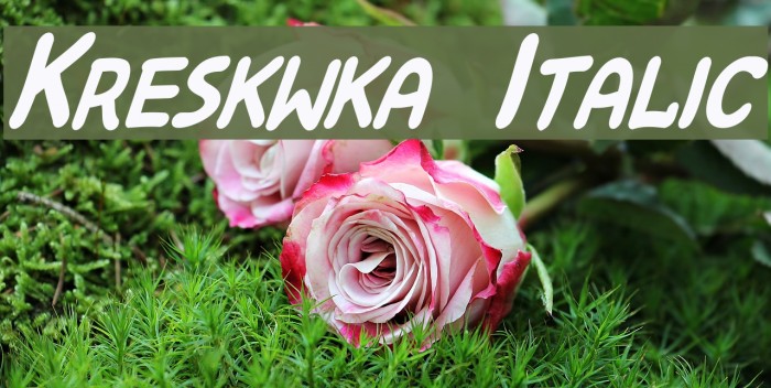 Kreskwka Italic Font examples