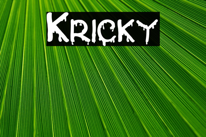 Kricky Example 2