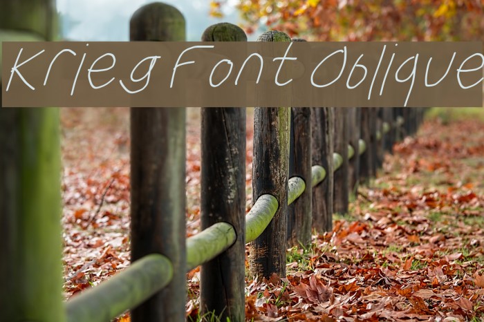 Krieg Font Oblique Font examples