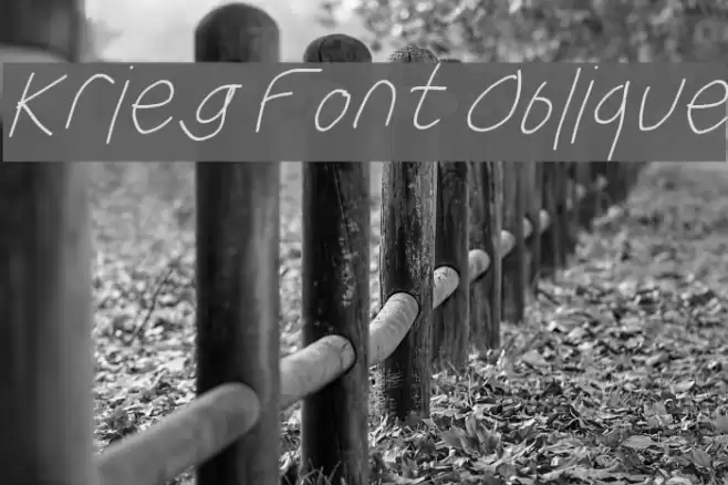Krieg Font Oblique  examples