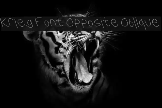 Krieg Font Opposite Oblique Font examples