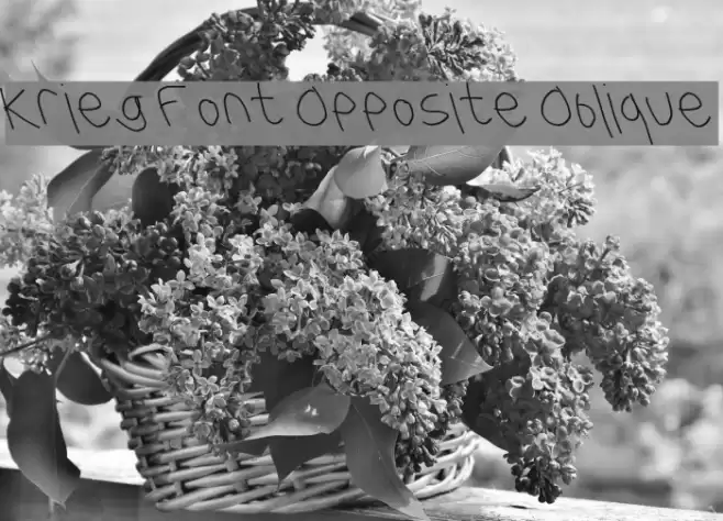 Krieg Font Opposite Oblique Font examples