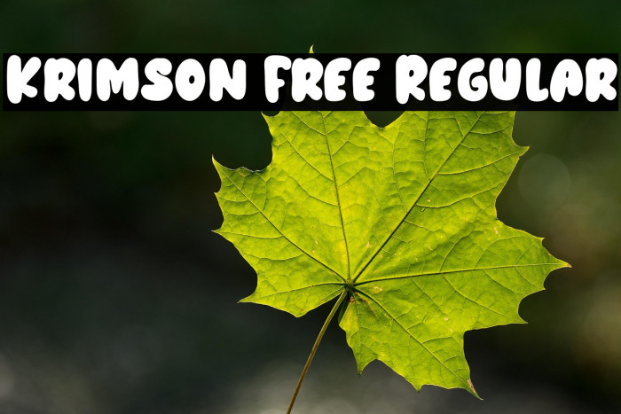 Krimson Free Regular Example 2