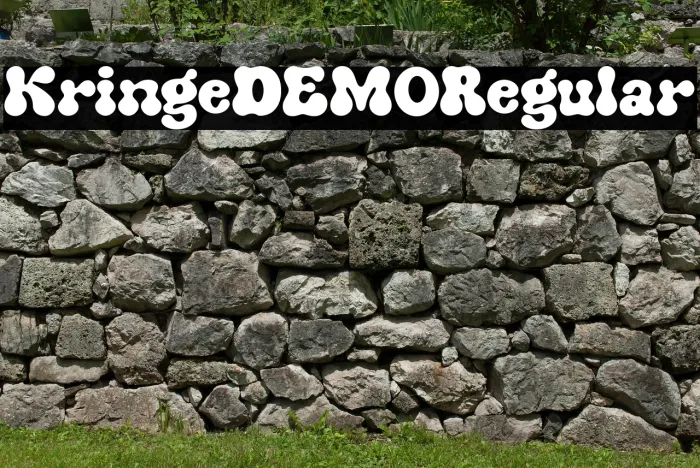 Kringe DEMO Regular Example 1
