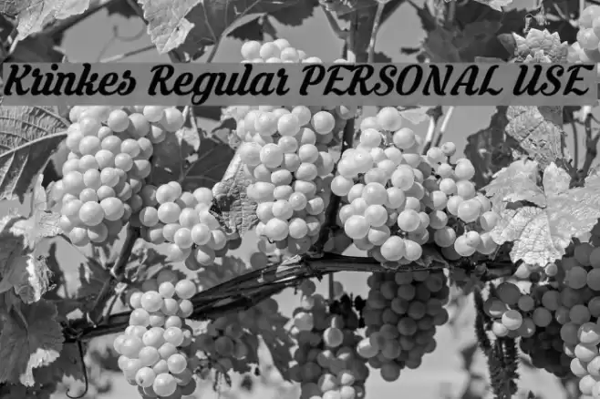 Krinkes Regular PERSONAL USE Font examples