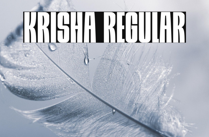 Krisha Regular Example 3