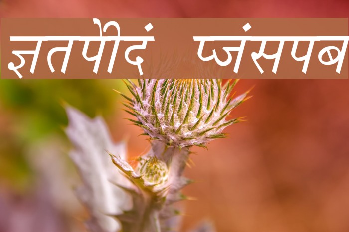 Krishna Italic Font examples