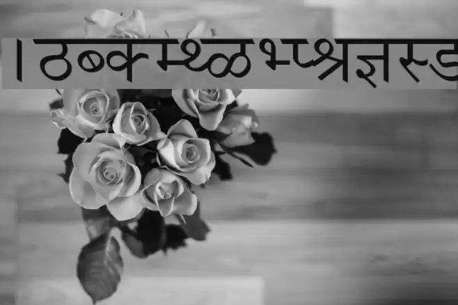 Krishna Normal Font examples