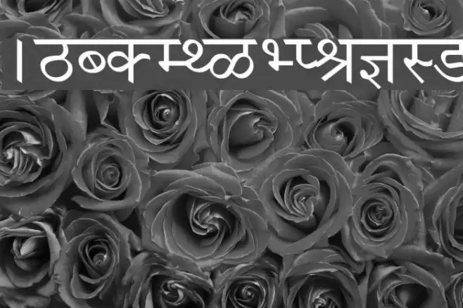 Krishna Normal Font examples