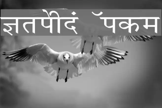 Krishna Wide Font examples