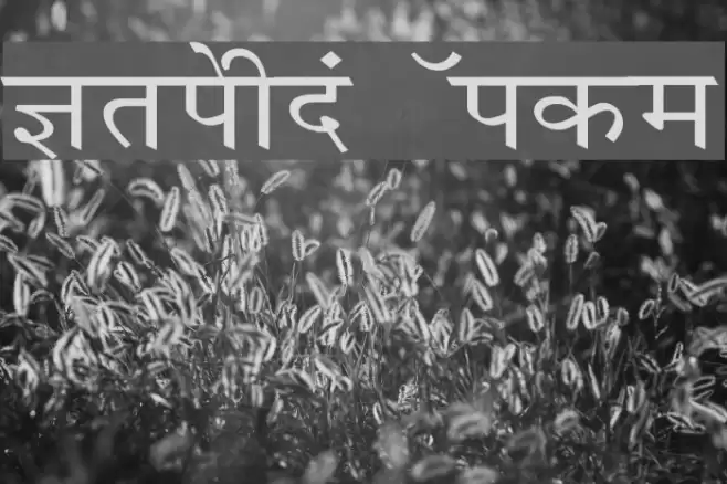 Krishna Wide Font examples