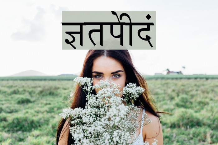Krishna Font examples