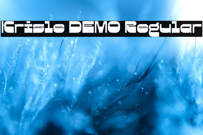 Krisle DEMO Regular Example 1