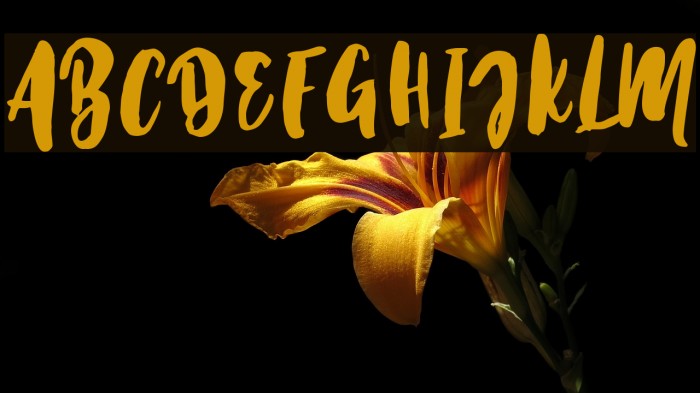 KristaleScript-Regular Example 3