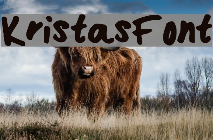 KristasFont Example 3