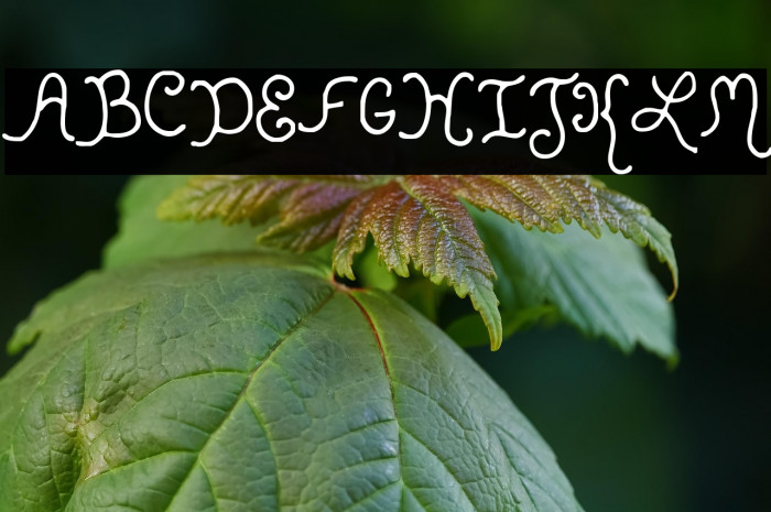 KristenCurlyYOFF Example 2