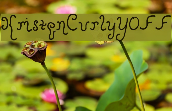 KristenCurlyYOFF Example 2