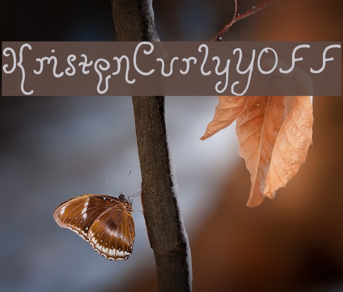 KristenCurlyYOFF Example 3