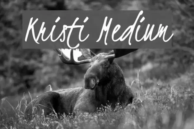 Kristi Medium Font examples