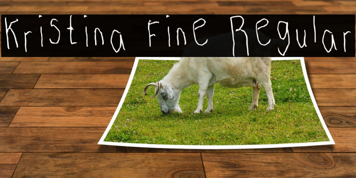 Kristina Fine Regular Font examples
