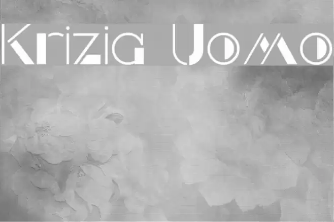 Krizia Uomo Polices examples