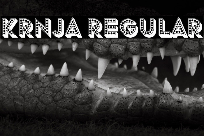 Krnja Regular Example 2