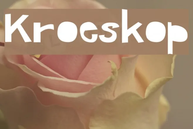 Kroeskop Example 1