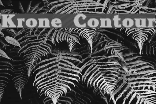 Krone Contour Font examples